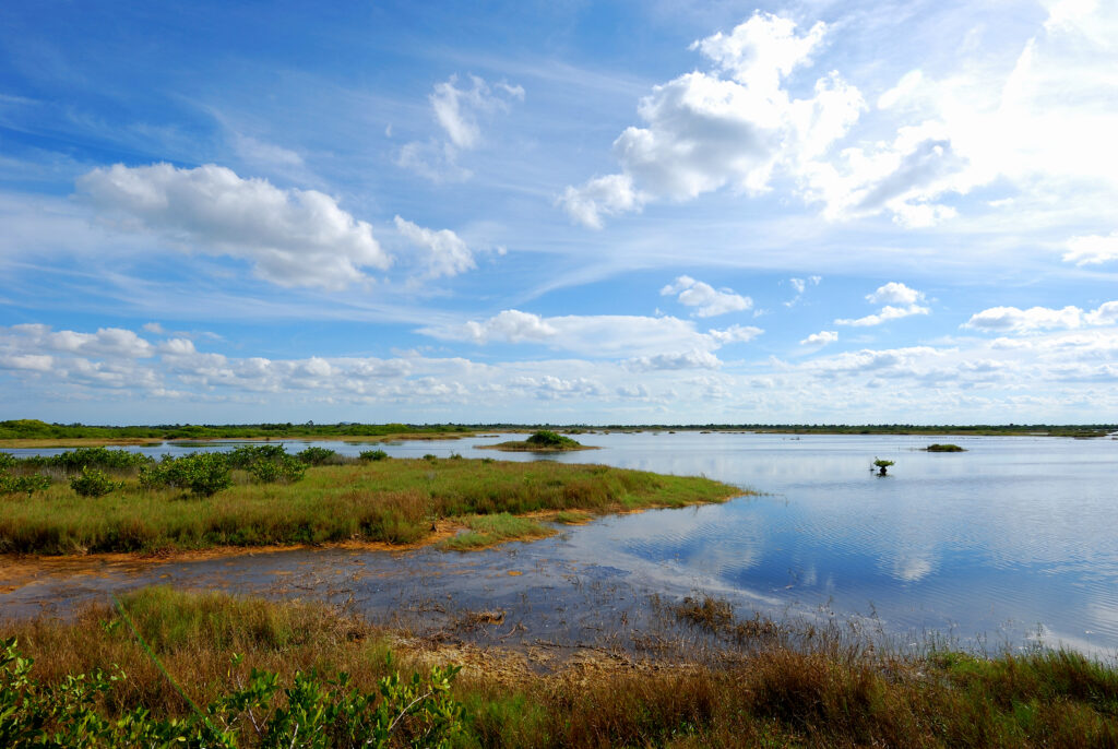 Exploring Wildlife and Nature Reserves near Cocoa Beach