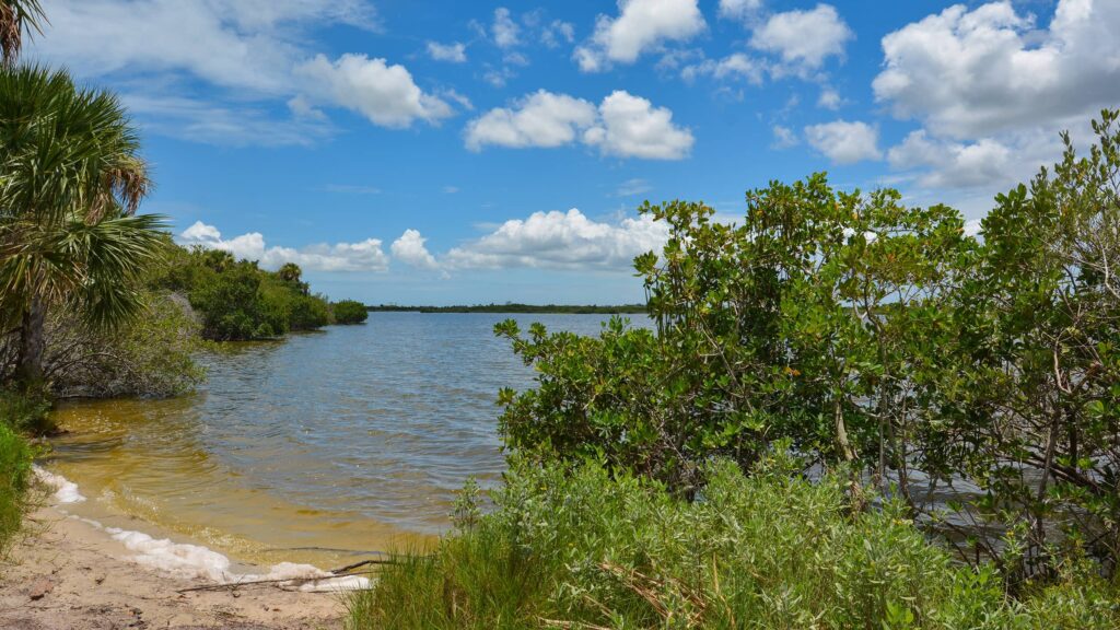 Exploring Wildlife and Nature Reserves near Cocoa Beach